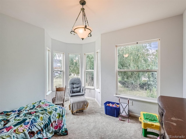 bedroom featuring carpet