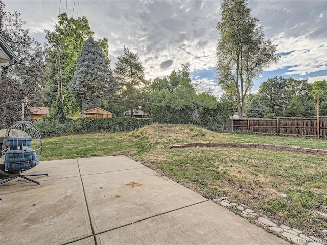 view of yard featuring a patio area