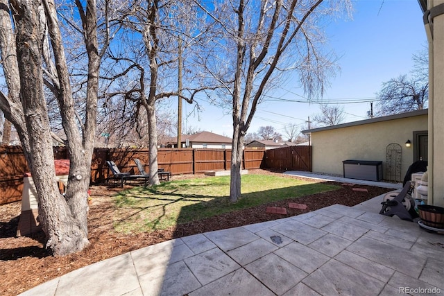 view of yard featuring a patio area and a fenced backyard