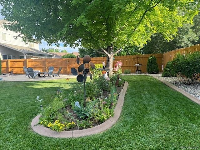 view of yard featuring a patio area