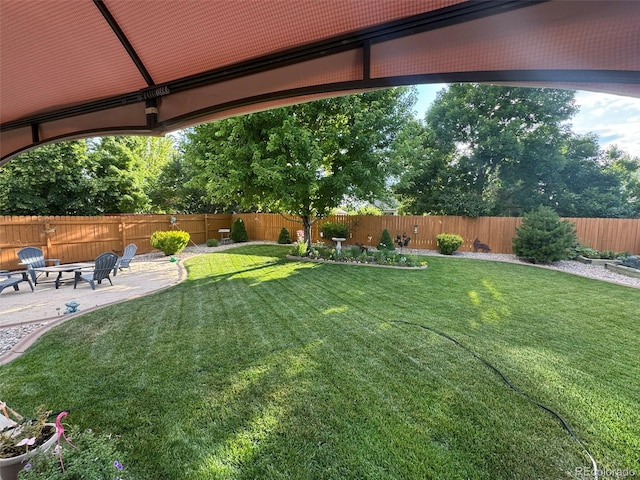 view of yard featuring a patio area