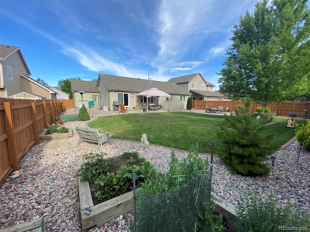 back of house with a patio and a lawn