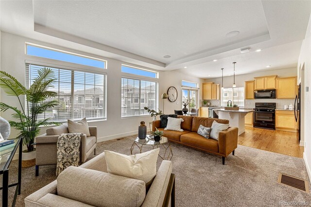 living room featuring light hardwood / wood-style flooring and a raised ceiling