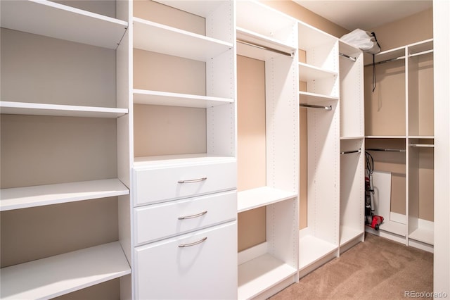 walk in closet with carpet floors