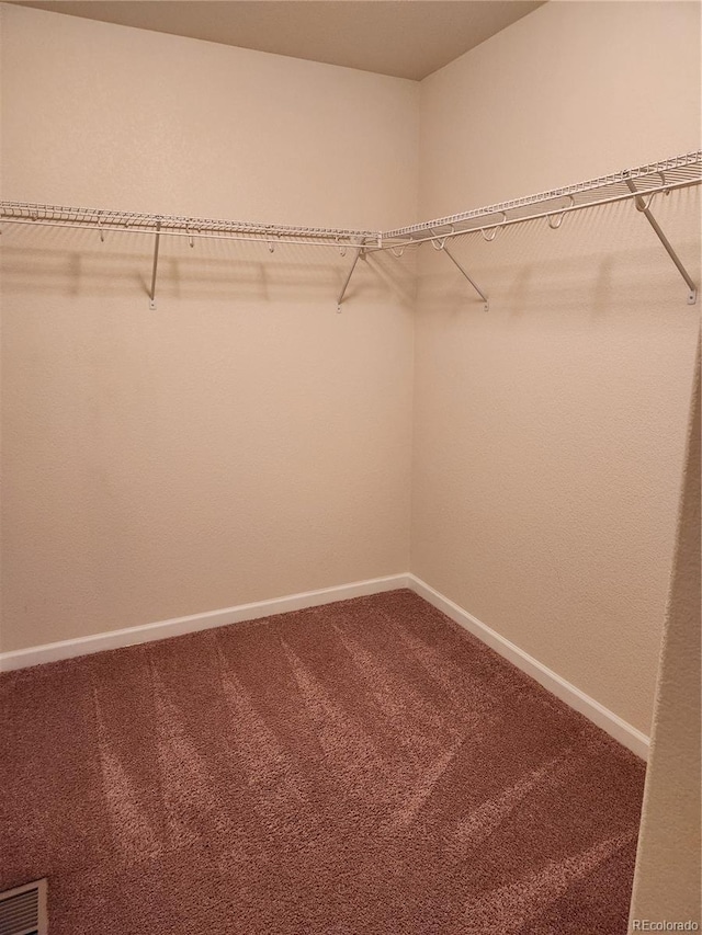 walk in closet featuring visible vents and carpet flooring