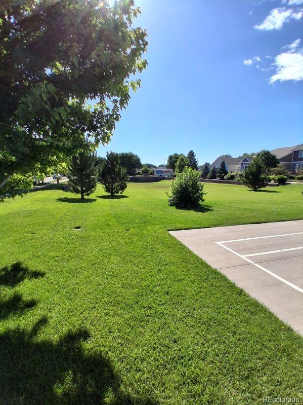 1211 Bistre St, Longmont, CO 80501 - photo 26