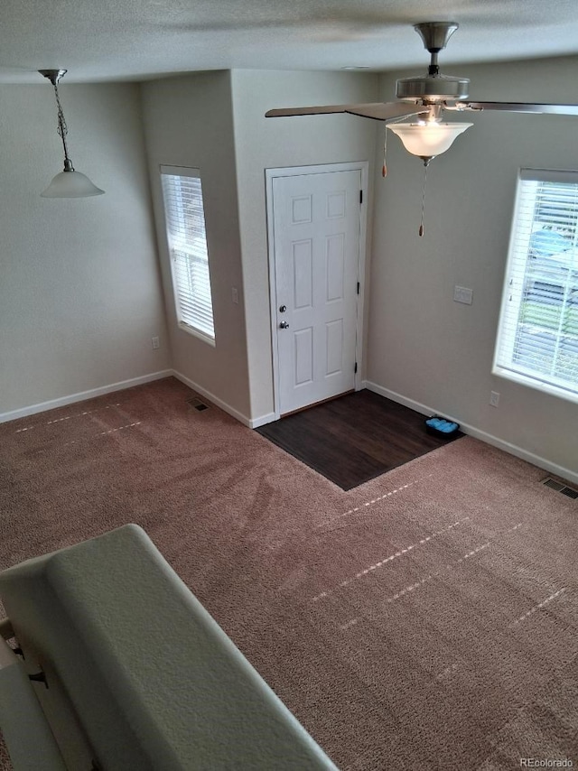 1211 Bistre St, Longmont, CO 80501 - photo 8