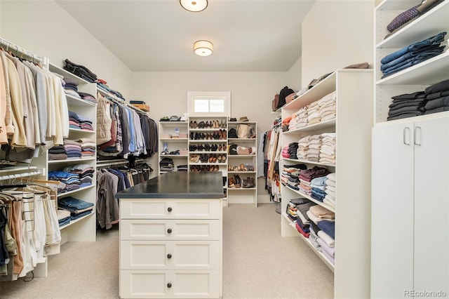 5425 S University Blvd, Greenwood Village, CO 80121 - walk in closet featuring light colored carpet