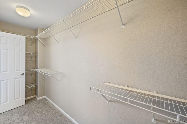 8216 Mahogany Wood Ct, Colorado Springs, CO 80927 - walk in closet with carpet