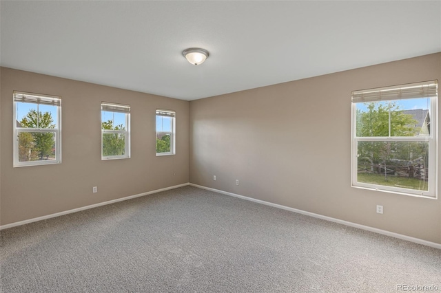 8216 Mahogany Wood Ct, Colorado Springs, CO 80927 - carpeted empty room with baseboards