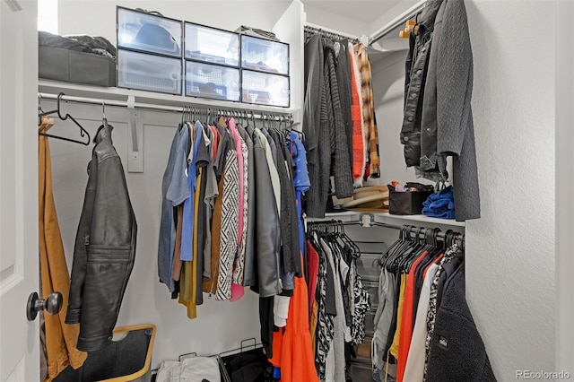 10226 Worchester St, Commerce City, CO 80022 - view of spacious closet