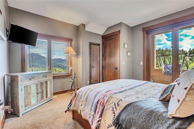 carpeted bedroom with multiple windows