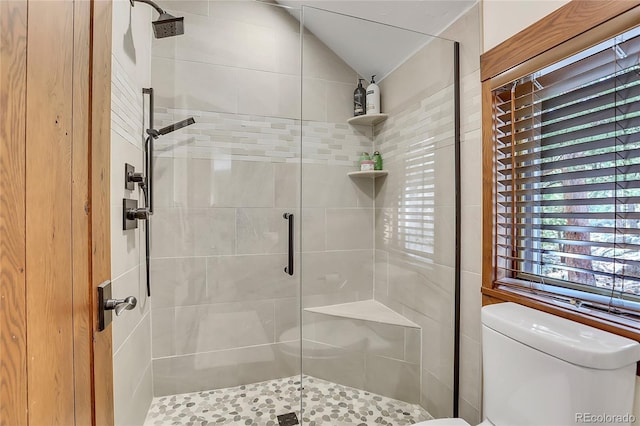 bathroom with lofted ceiling, an enclosed shower, and toilet