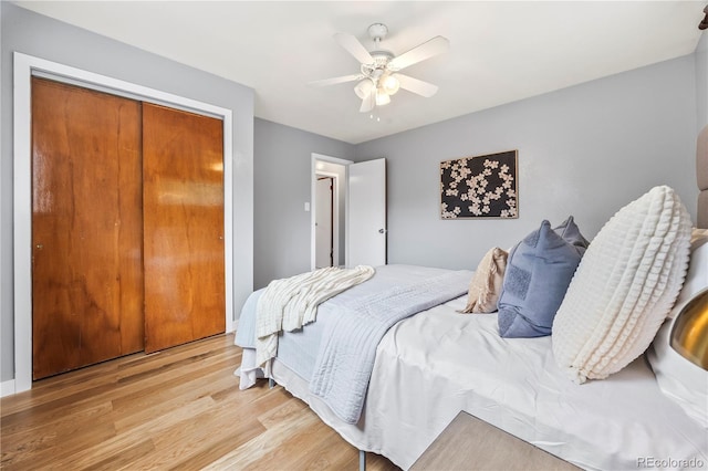 6327 Fenton St, Arvada, CO 80003 - bedroom with light wood finished floors, a ceiling fan, and a closet