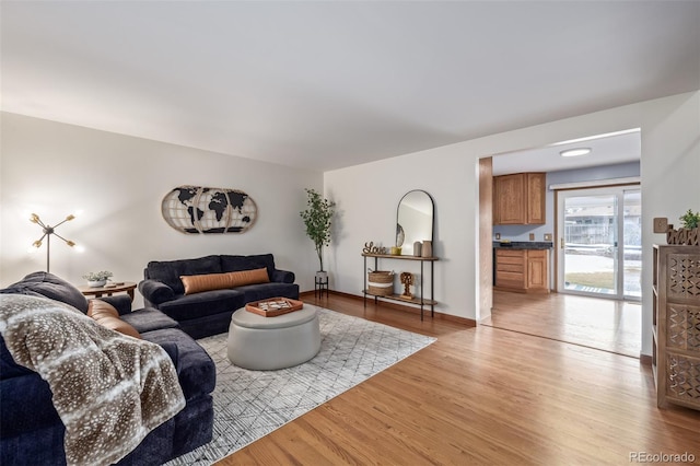 living room featuring light hardwood / wood-style floors