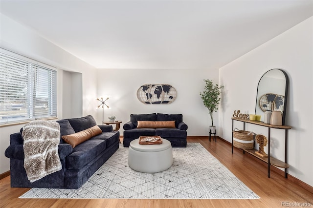 living room featuring light hardwood / wood-style floors