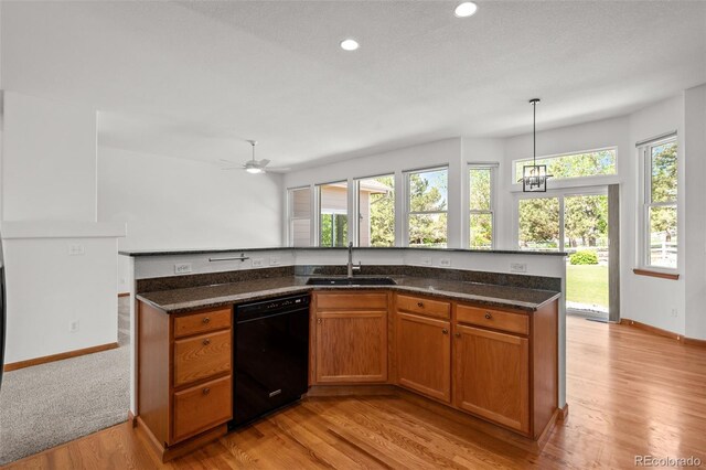 14447 Inca Ct, Westminster, CO 80023 - kitchen with black dishwasher, a sink, plenty of natural light, light wood finished floors, and recessed lighting