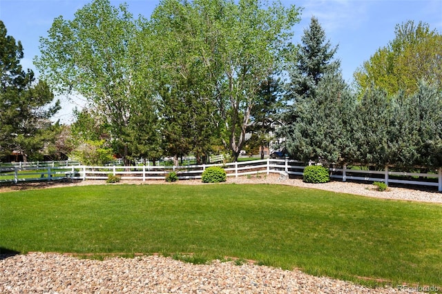 14447 Inca Ct, Westminster, CO 80023 - view of yard