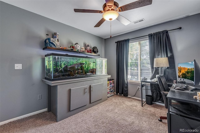 14803 E 119th Ave, Commerce City, CO 80603 - photo 45