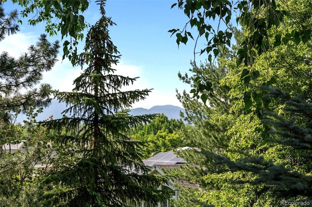 6742 Cole Cir, Arvada, CO 80004 - view of mountain background featuring a heavily wooded area