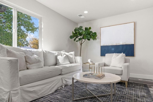 living room featuring hardwood / wood-style floors