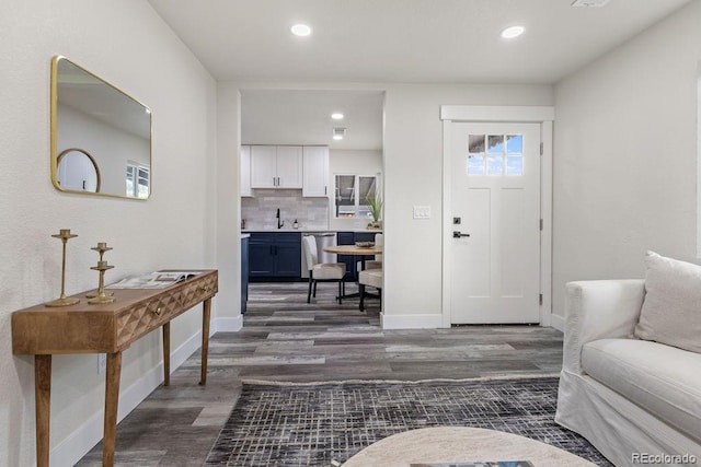 entryway with sink and dark wood-type flooring