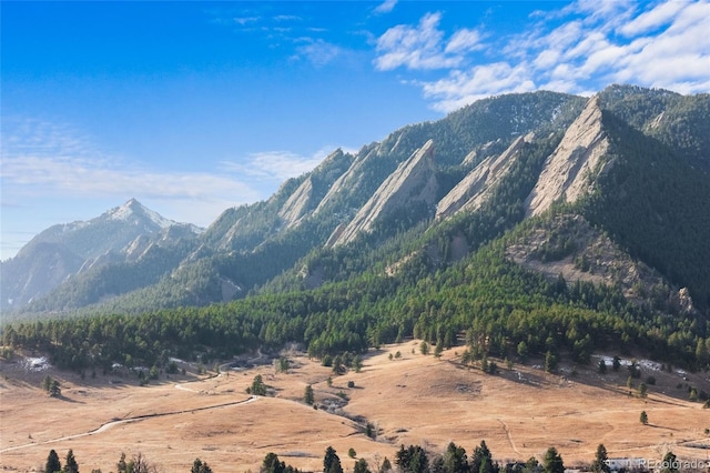 view of mountain feature