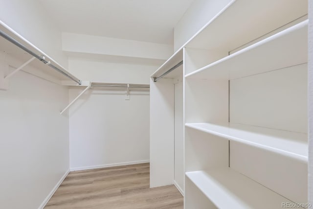 walk in closet featuring hardwood / wood-style floors