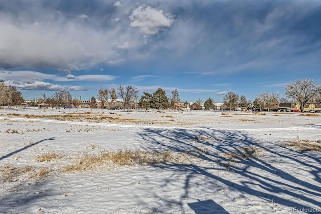 view of yard covered in snow