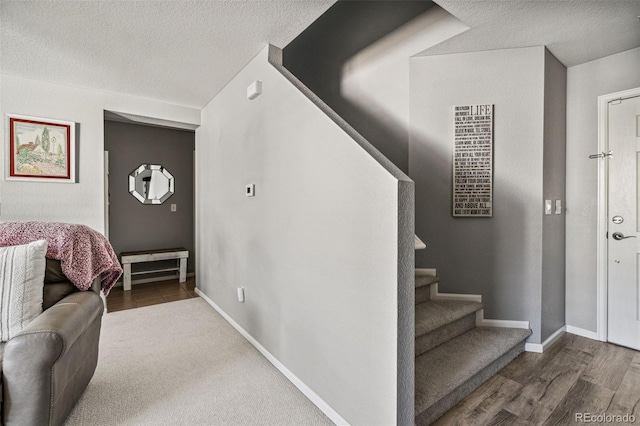 entrance foyer featuring wood-type flooring