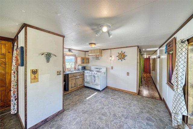 1455 N B St, Florissant, CO 80816 - photo 22