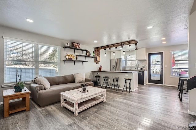 living room featuring light hardwood / wood-style flooring and a textured ceiling