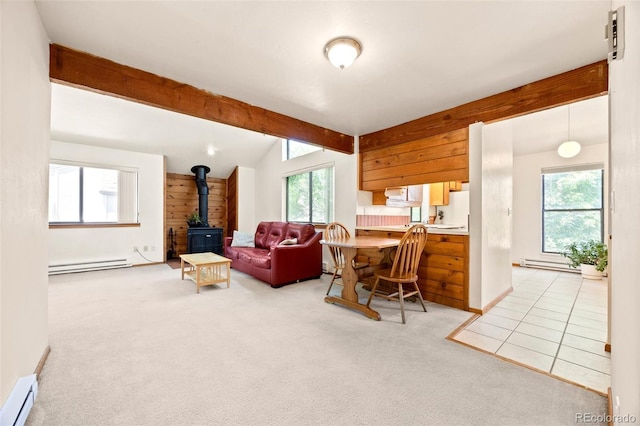 4717 Tantra Dr Unit G5, Boulder, CO 80305 - living room featuring baseboard heating, a baseboard heating unit, a wood stove, and healthy amount of natural light