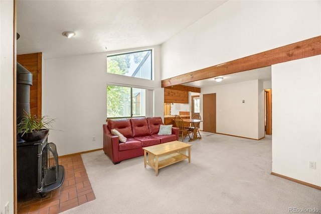 4717 Tantra Dr Unit G5, Boulder, CO 80305 - living area with a wood stove and high vaulted ceiling