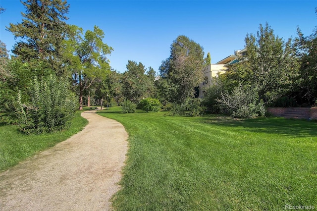 view of home's community featuring a yard