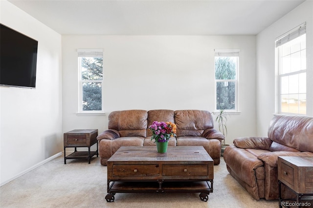 living room featuring light carpet