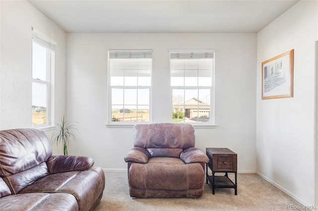 living area with light colored carpet