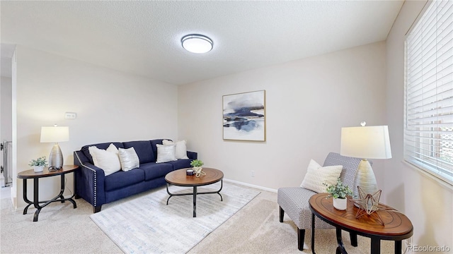 1820 W 104th Pl, Northglenn, CO 80234 - living room with light carpet and a textured ceiling