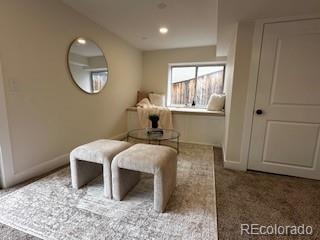 sitting room with carpet flooring