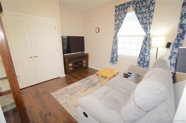 living room featuring dark wood-type flooring