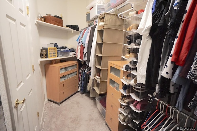 spacious closet featuring light carpet