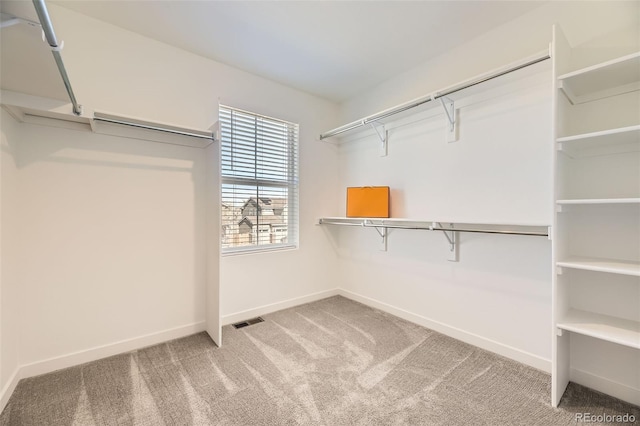 spacious closet featuring carpet and visible vents