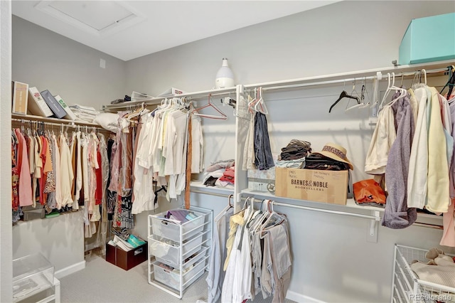 spacious closet featuring attic access and carpet floors