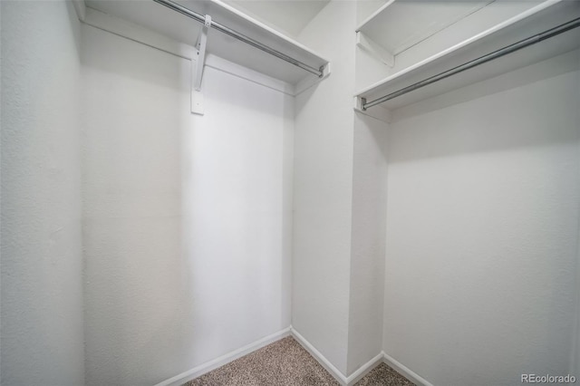 1697 S Cole St Unit B5, Lakewood, CO 80228 - photo 26