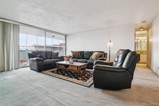 1155 N Ash St Unit 804, Denver, CO 80220 - photo 4
