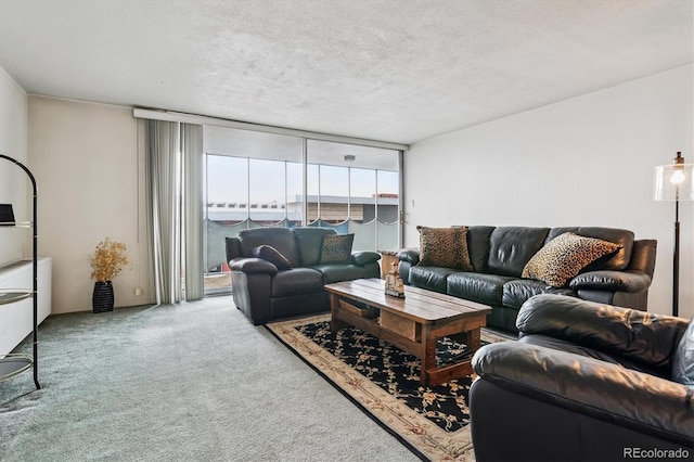 1155 N Ash St Unit 804, Denver, CO 80220 - photo 5