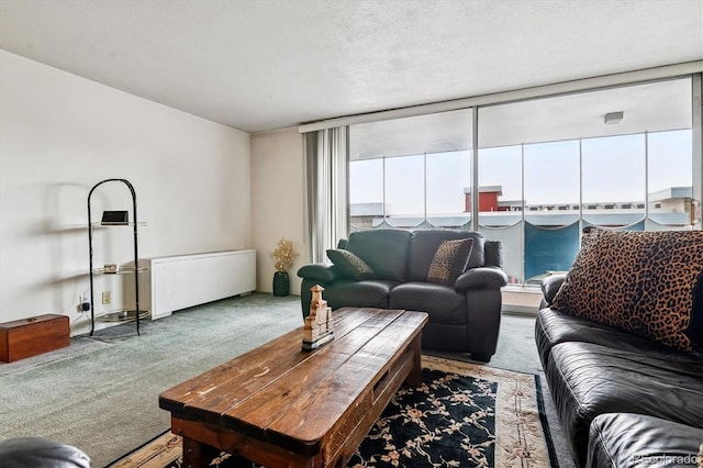 1155 N Ash St Unit 804, Denver, CO 80220 - photo 6