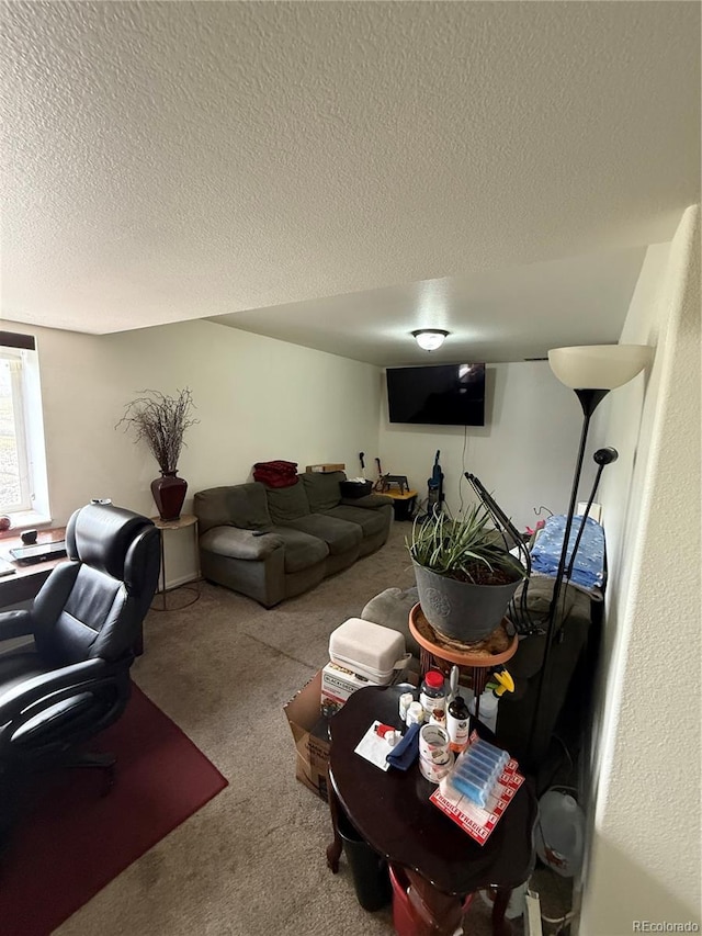 8318 Ivory Loop, Peyton, CO 80831 - carpeted living area with a textured ceiling