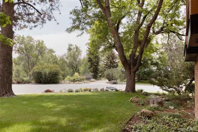 4121 S Cherry St, Cherry Hills Village, CO 80113 - photo 4
