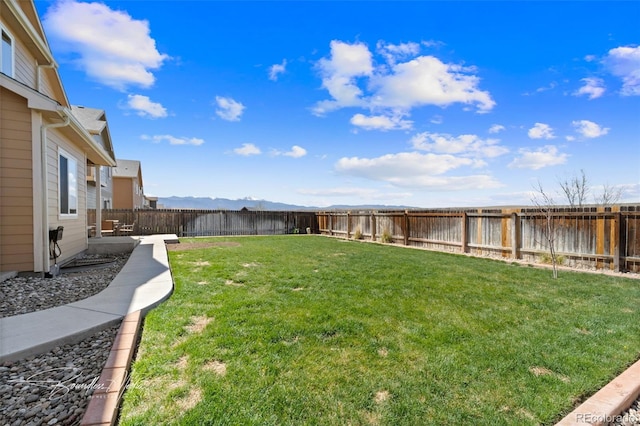10418 Silver Stirrup Dr, Colorado Springs, CO 80925 - photo 7